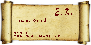 Ernyes Kornél névjegykártya